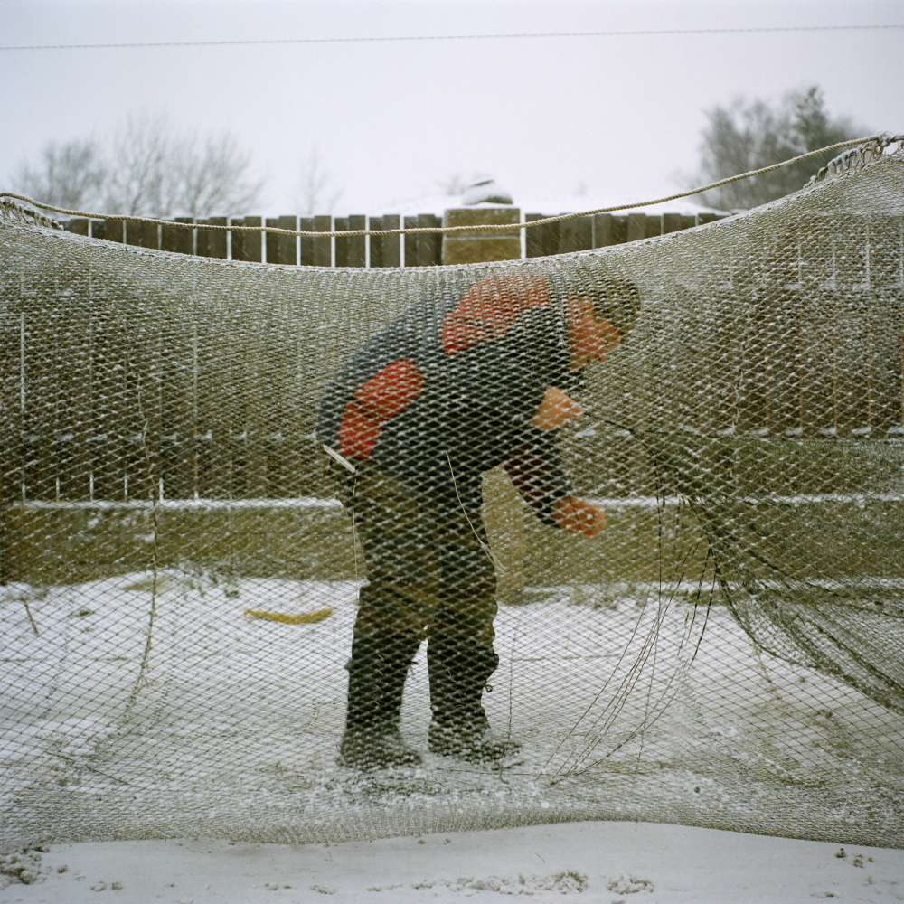 Нева река. Екатерина Васильева художник, куратор и преподаватель