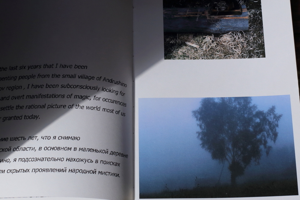 За Жар-Птицей. Екатерина Васильева художник, куратор и преподаватель