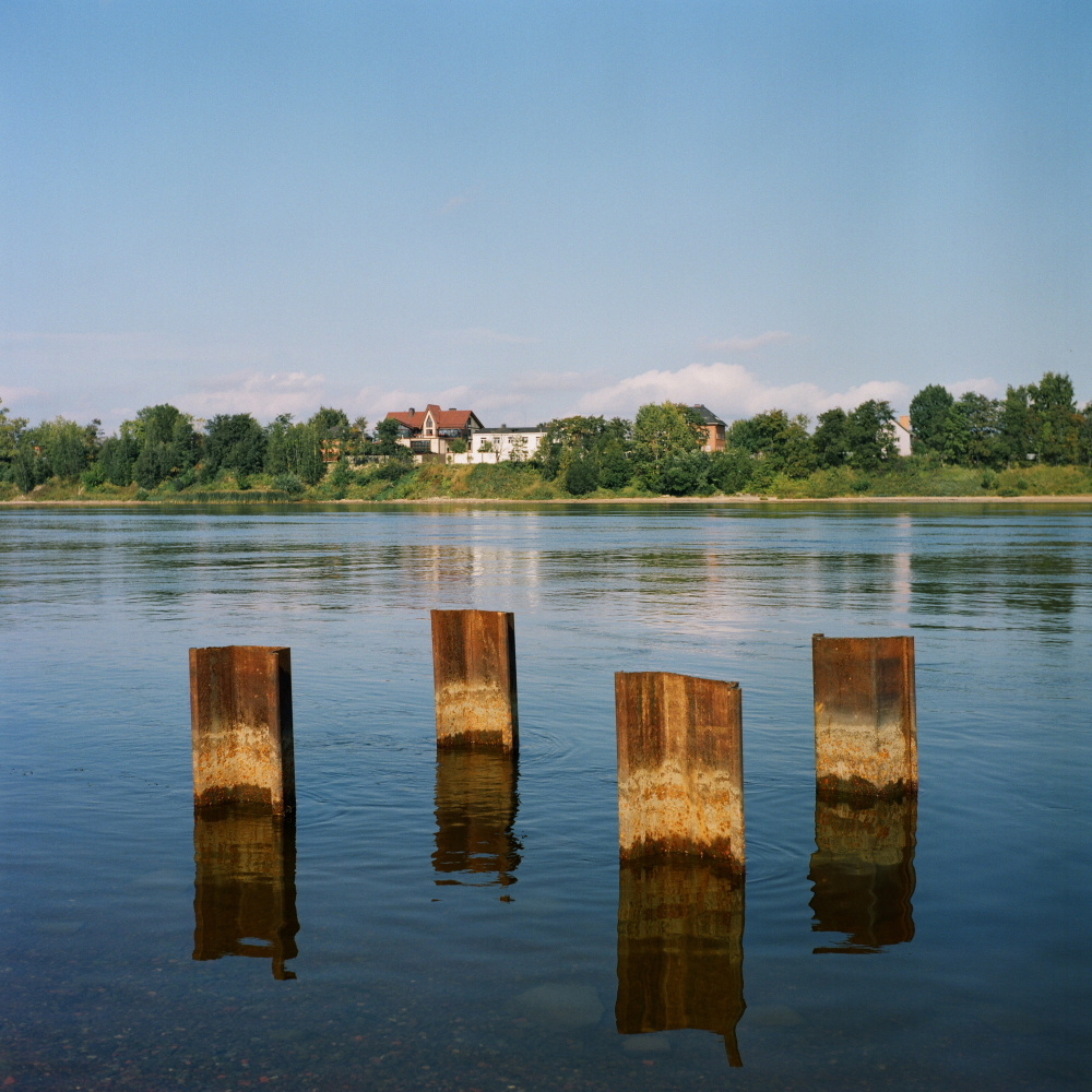 Нева река. Екатерина Васильева художник, куратор и преподаватель