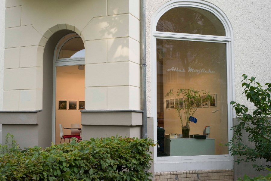 Нева река. Екатерина Васильева художник, куратор и преподаватель