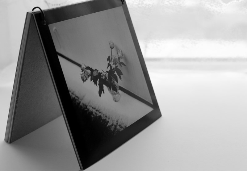 40 days of high and low tides. Ekaterina Vasilyeva photographer