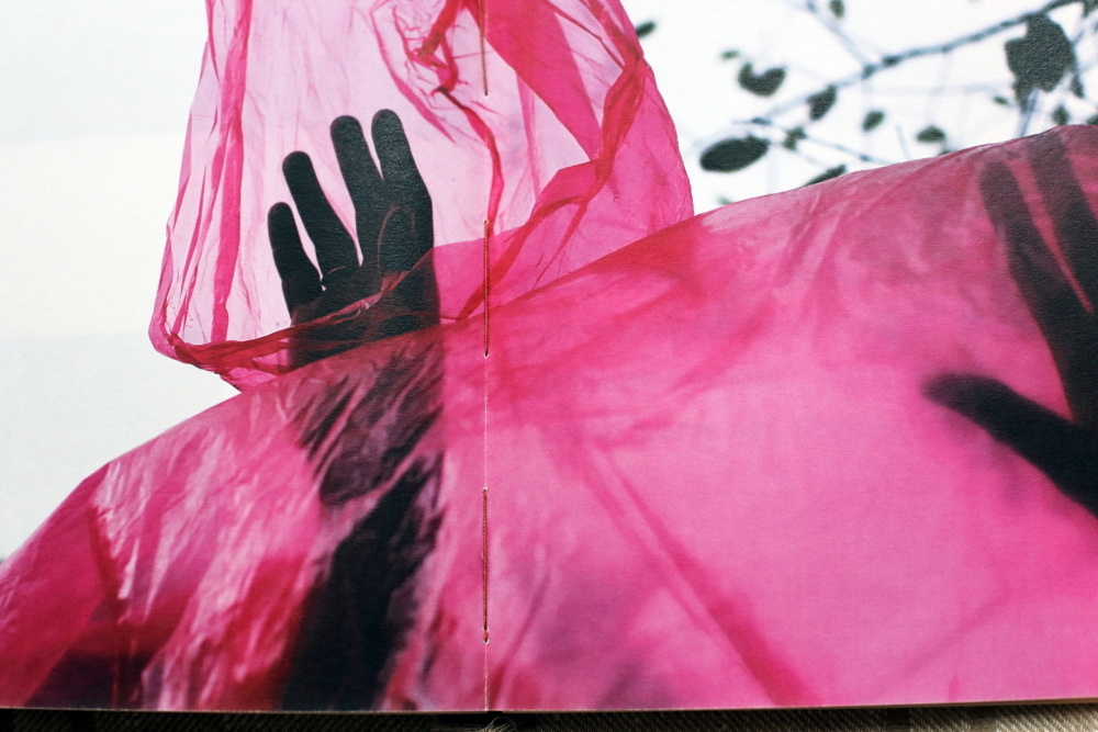 За Жар-Птицей. Екатерина Васильева художник, куратор и преподаватель