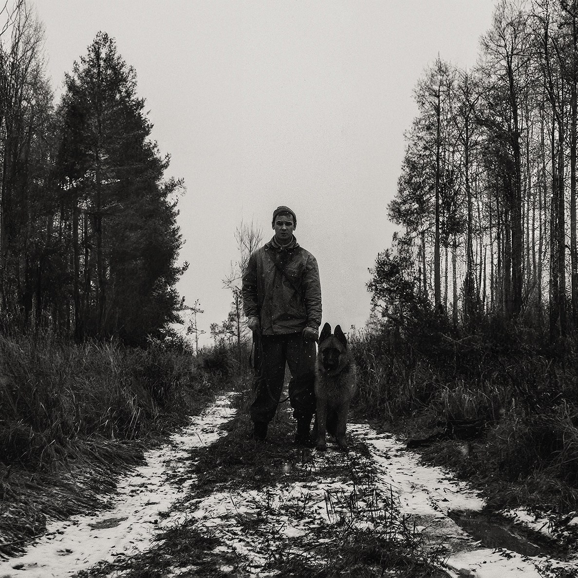 Съемка мужского портрета в поле и с немецкой овчаркой в лесу