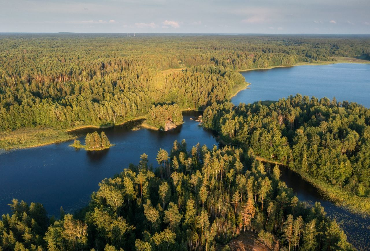 Летняя Вуокса | Фотограф Дмитрий Купрацевич. Дмитрий Купрацевич профессиональный пейзажный и travel-фотограф