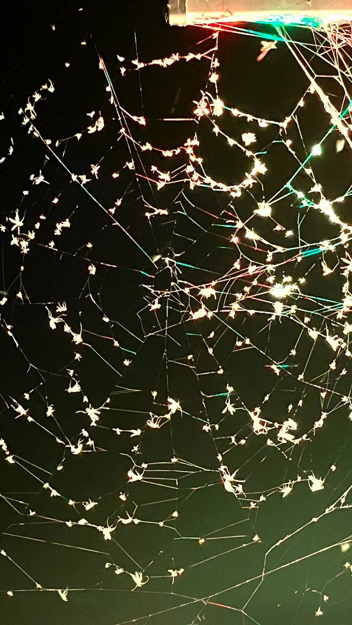 Марафон креативной фотографии. Vladimir Borele Photographer