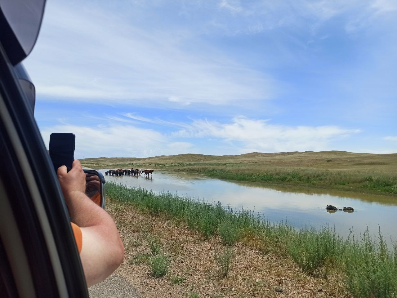 Melon Travel в Алматы: экскурсии и джип туры в Чарынский каньон, озера Каинды, Кольсай, Иссык, национальный парк Алтын Эмель