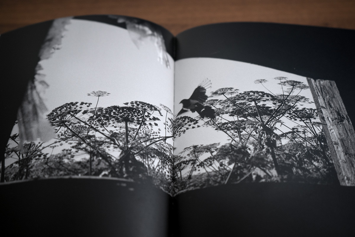 Books. Emil Gataullin