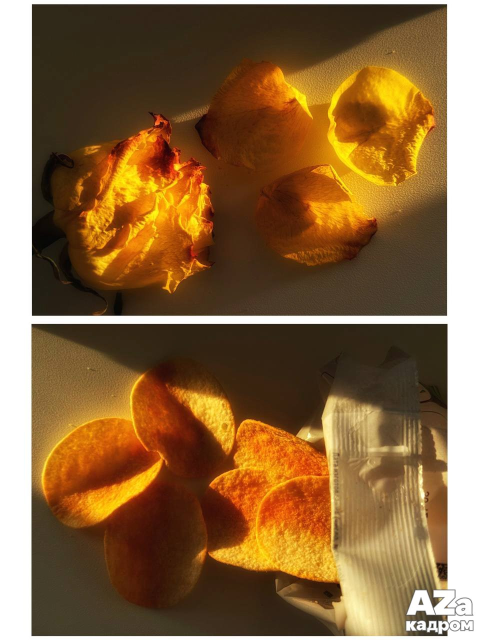 Дыхание весны. Фотоклуб AZакадром. Женский семейный фотограф Тула Москва Захарова Анна