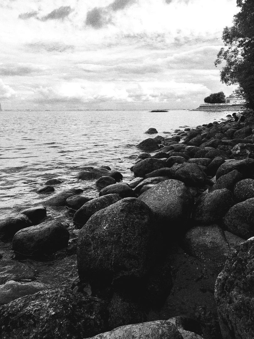 «Петергоф»