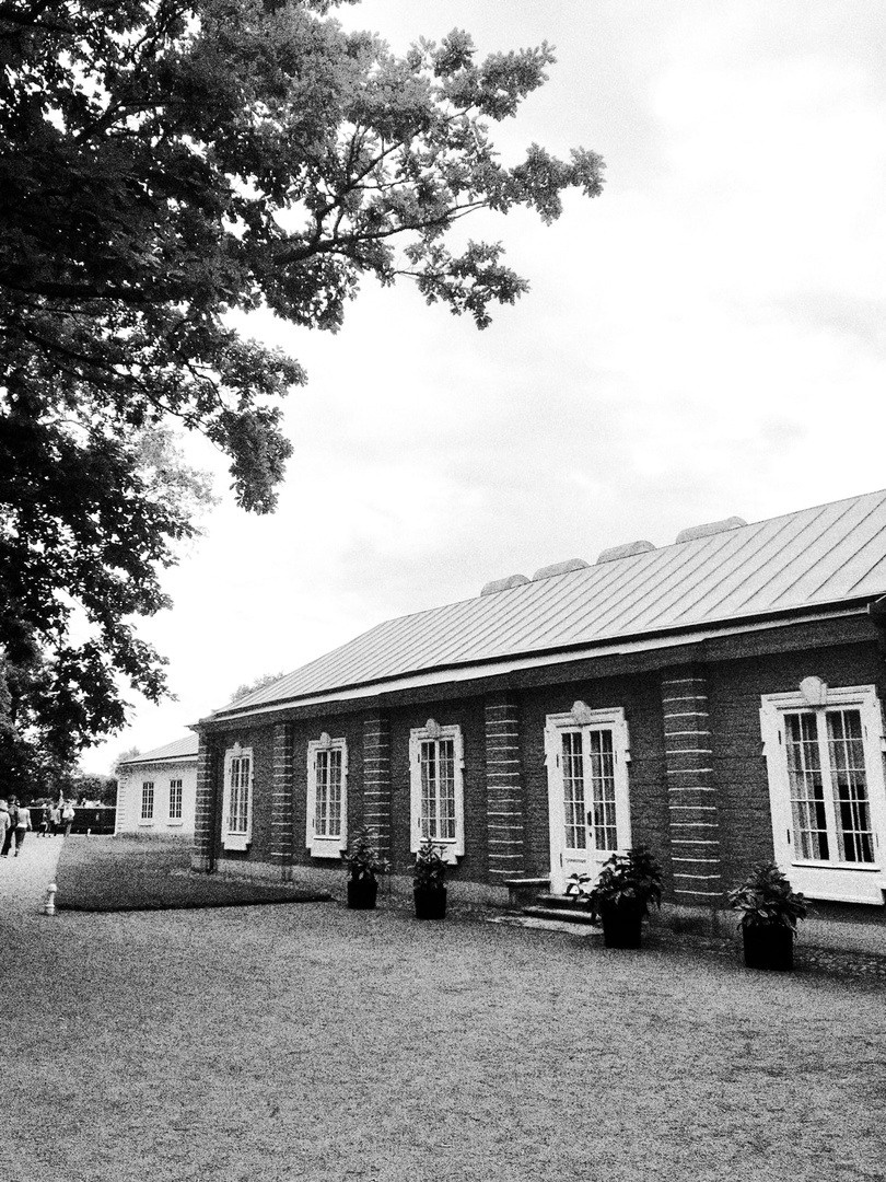 «Петергоф»