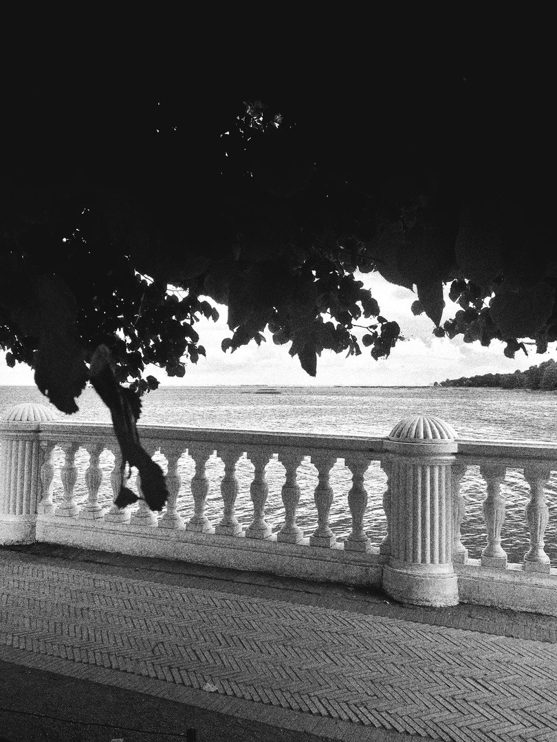 «Петергоф»