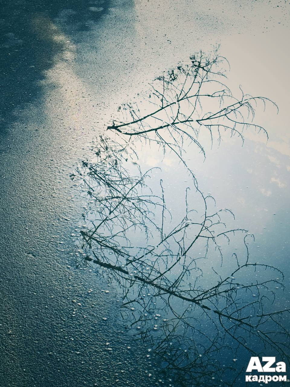 Дыхание весны. Фотоклуб AZакадром. Женский семейный фотограф Тула Москва Захарова Анна