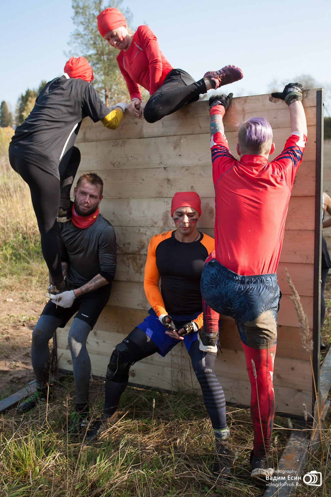 Вологодские лоси 2020