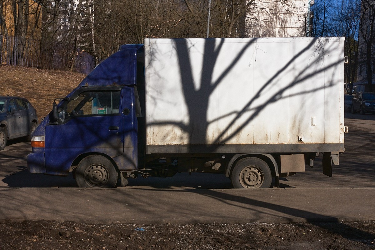 Дневной Сон. Иван Кобяков