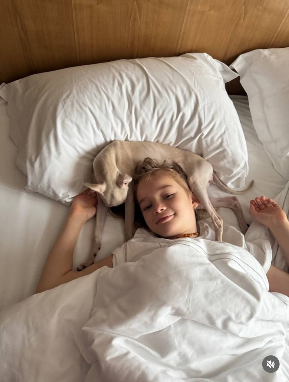 Итоги февраля. Профессиональный питомник левреток РКФ/FCI ASTI SAPPHIRE 💎 Сочи|Санкт-Петербург