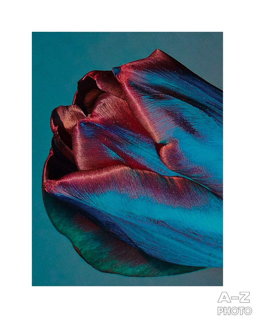 #ФОТОНЕДЕЛИ 16.03.2026. Женский семейный фотограф Тула Москва Захарова Анна