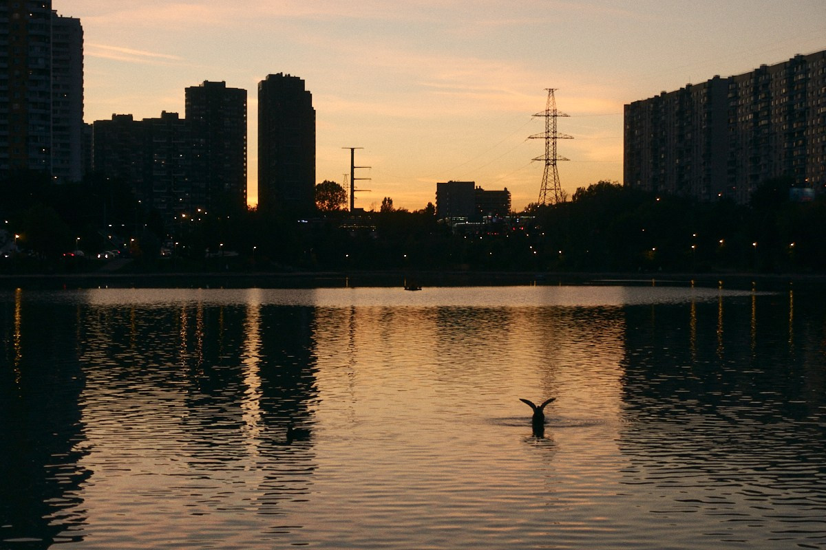 8-9/25. Иван Кобяков