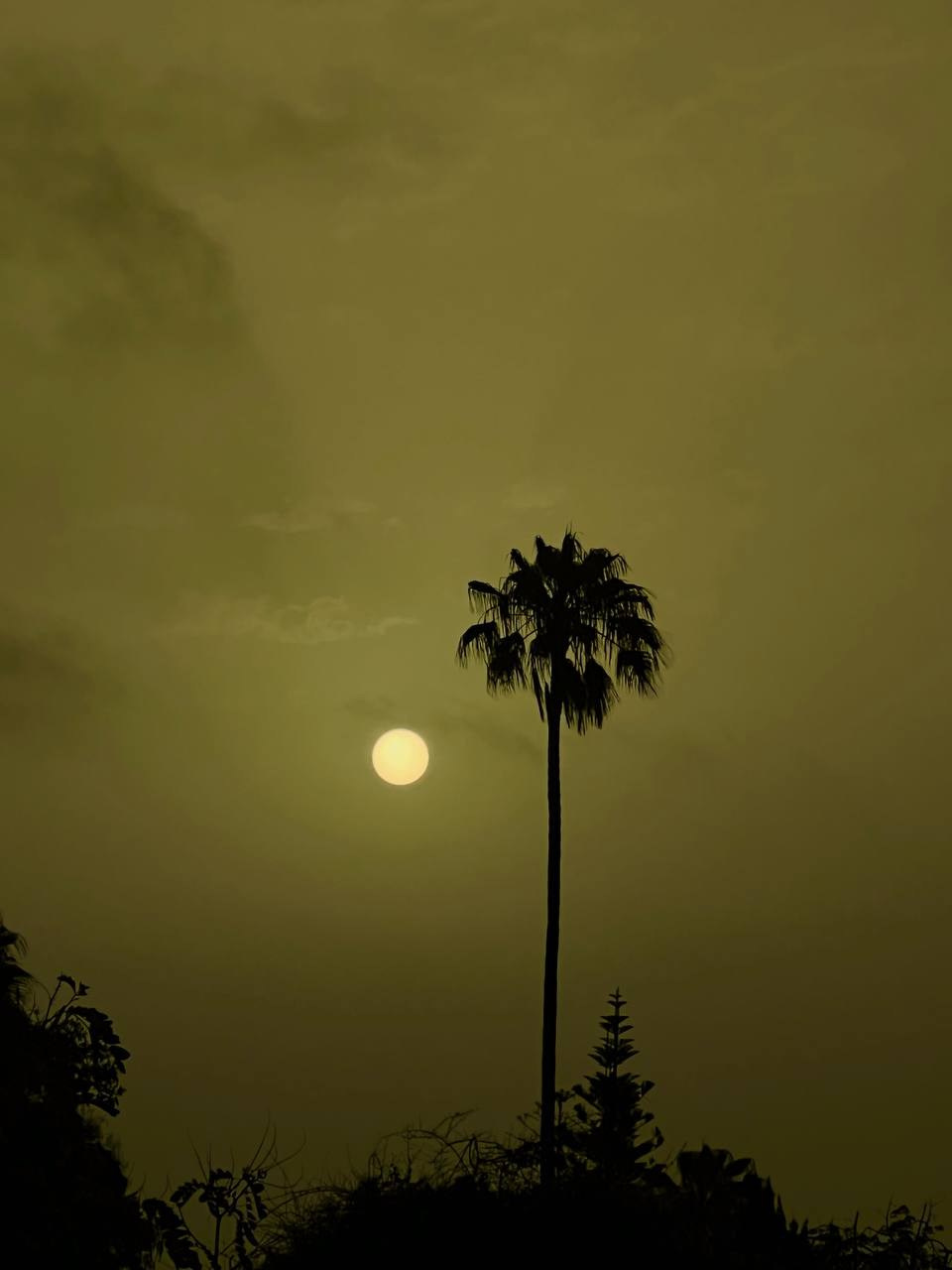 Фотолагерь. ARTDARY | Фотограф Дарья Грицай