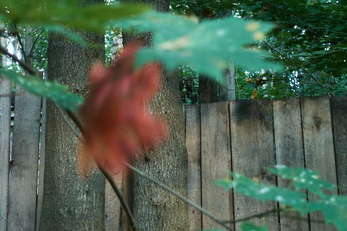 8-9/25. Иван Кобяков