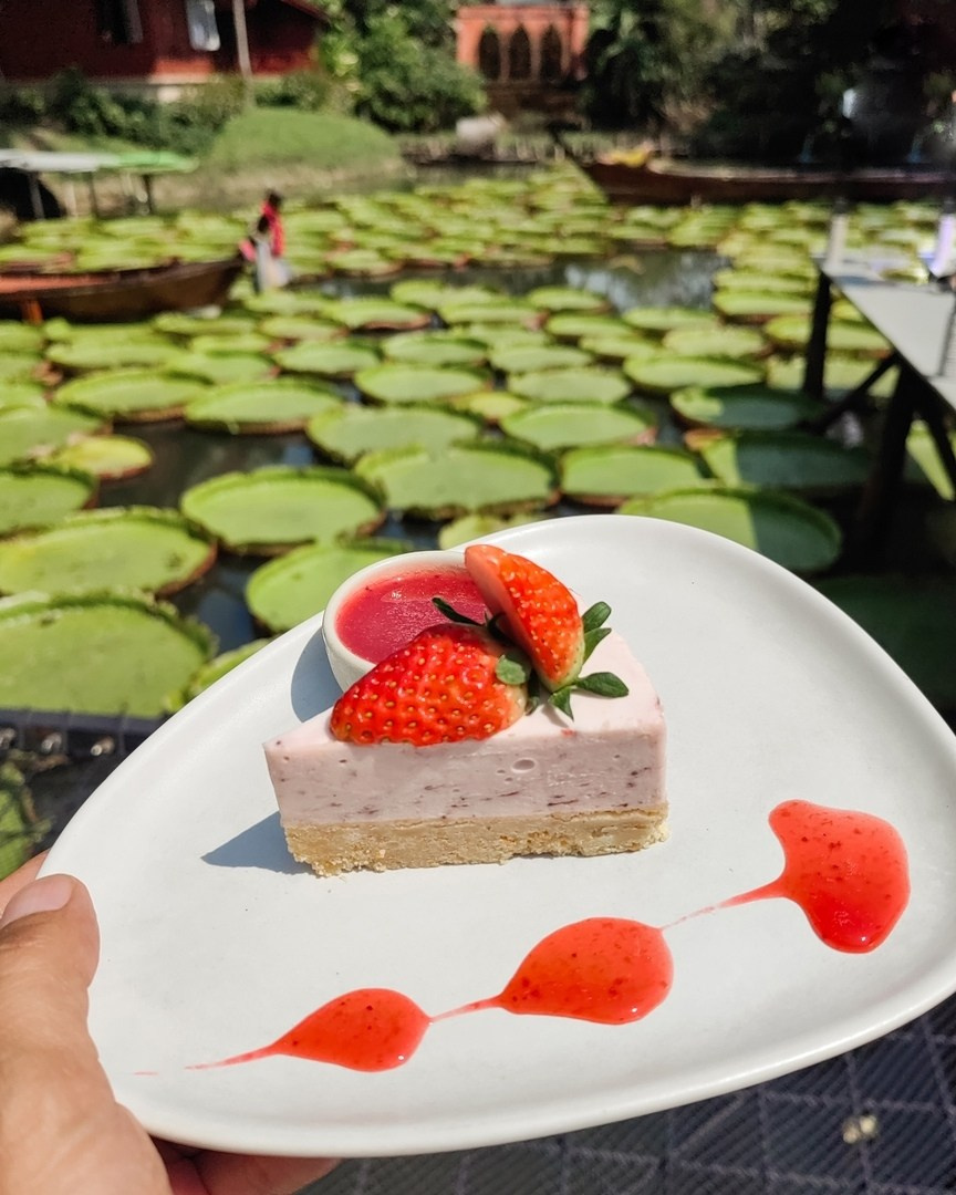 еда десерт меню фотосессия в кафе с кувшинками лотосами на Пхукете Ma Doo Bua Cafe Маде Буа Кафе фотограф Phuket идея место образ пример фото позы аренда платья свадебная лавстори фотосессия заказать цена стоимость