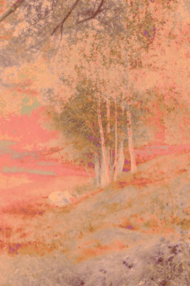 СНЫ О ДЕТСТВЕ. Визуальный артист Наташа Солнцева