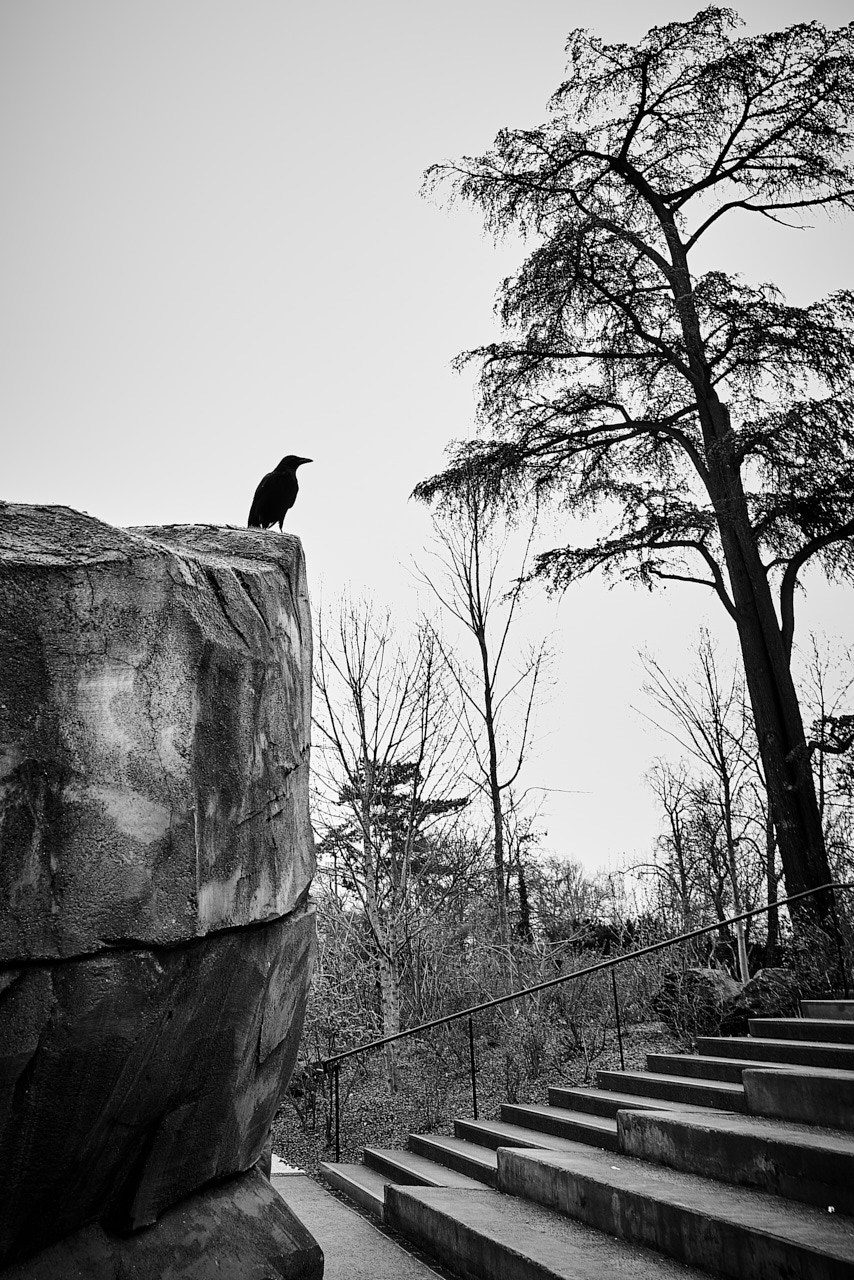 Paris: Download Error