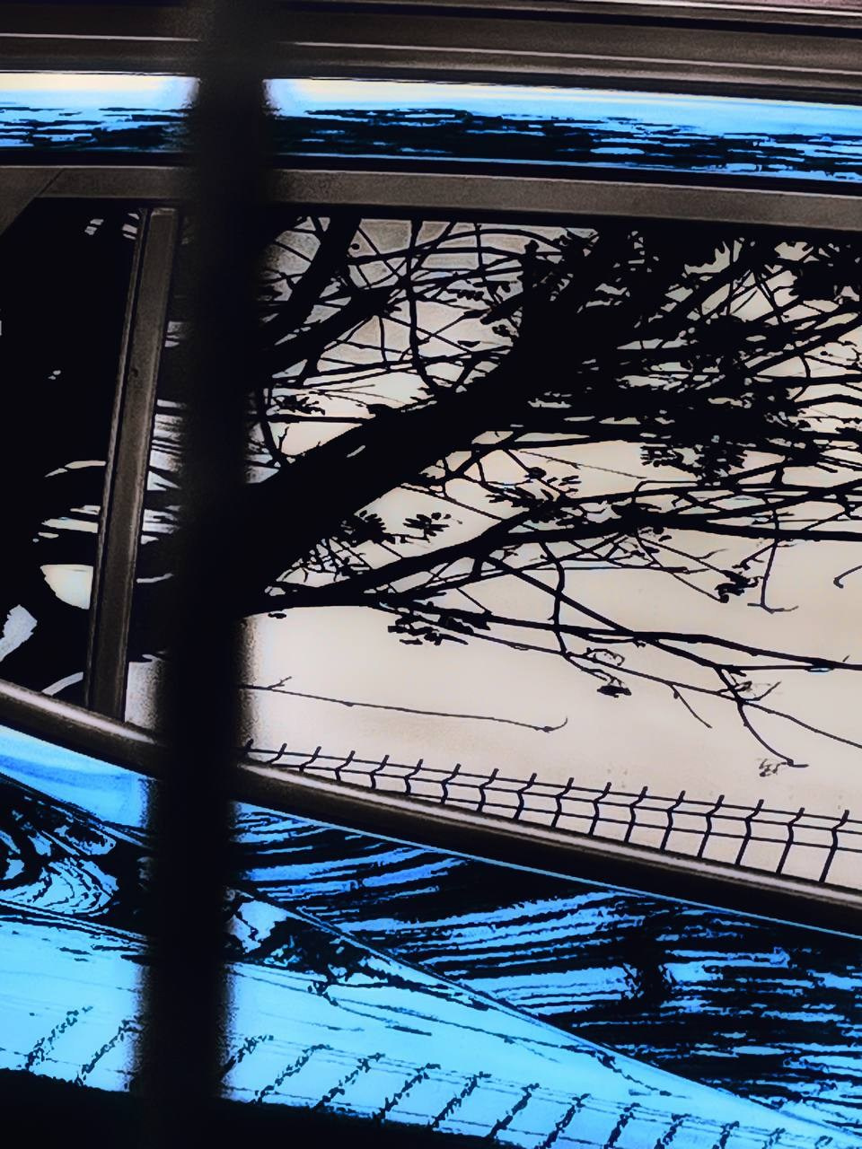 Марафон креативной фотографии. Vladimir Borele Photographer