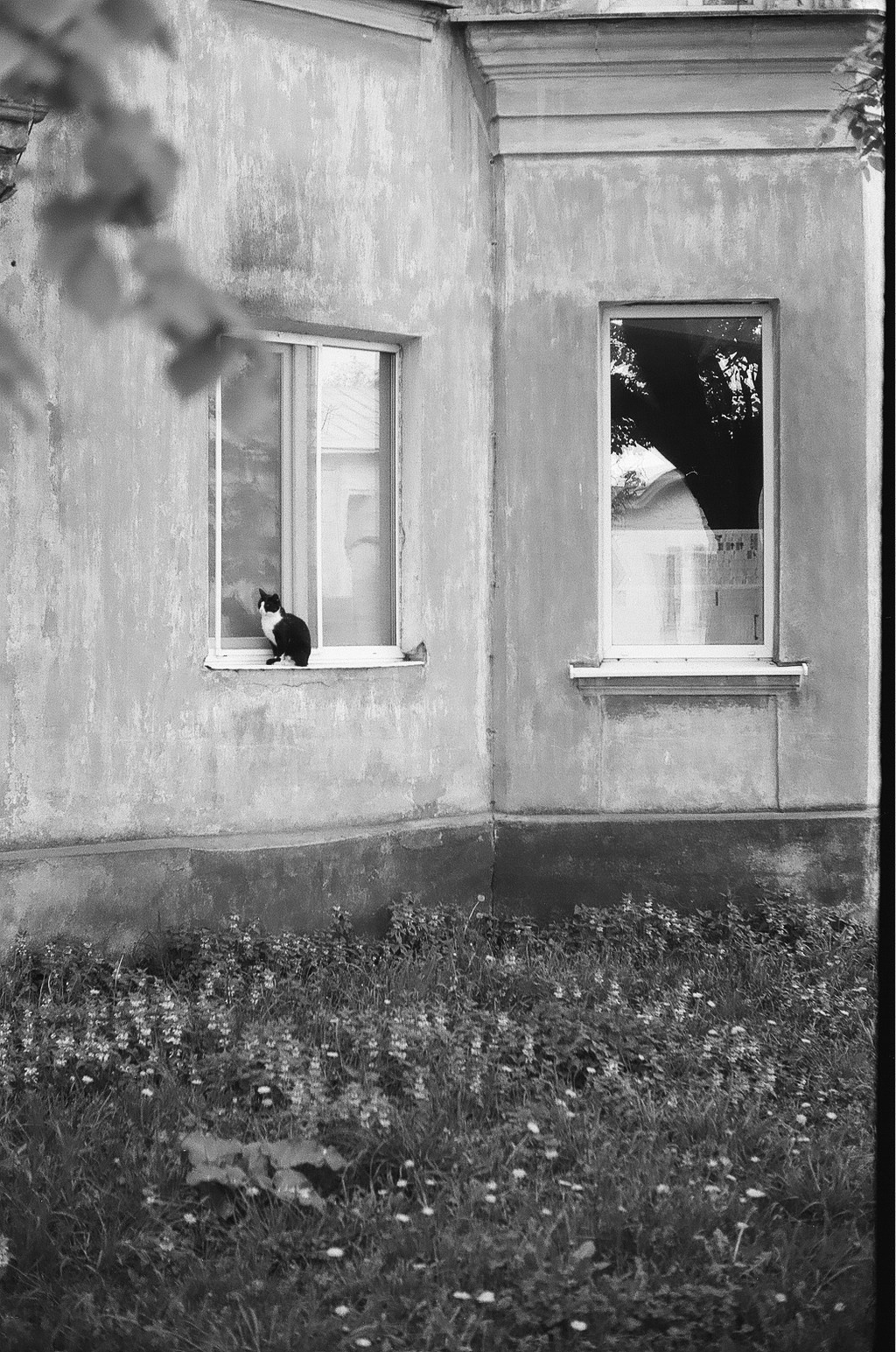 Фотограф-любитель Ксения Мирзоян