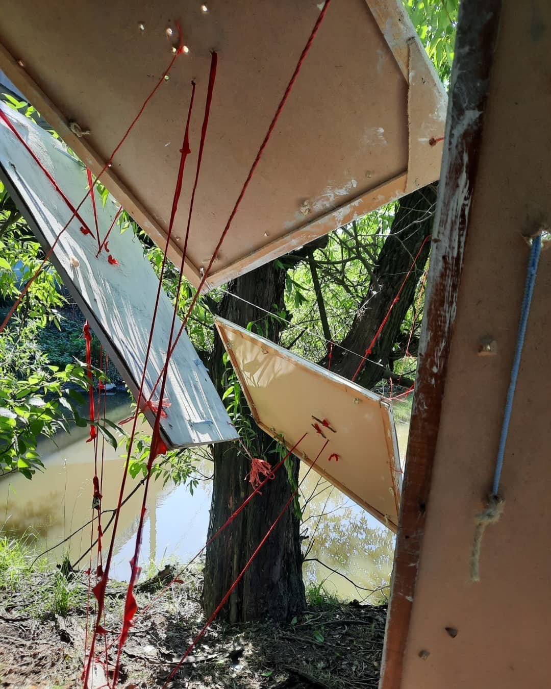 Красненькая биеннале. Санкт-Петербург. Лилия Ким. Междисциплинарный художник