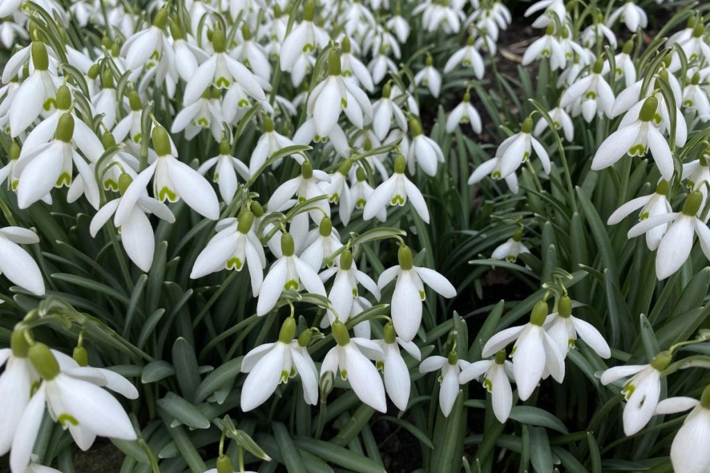 Весна в Калининграде