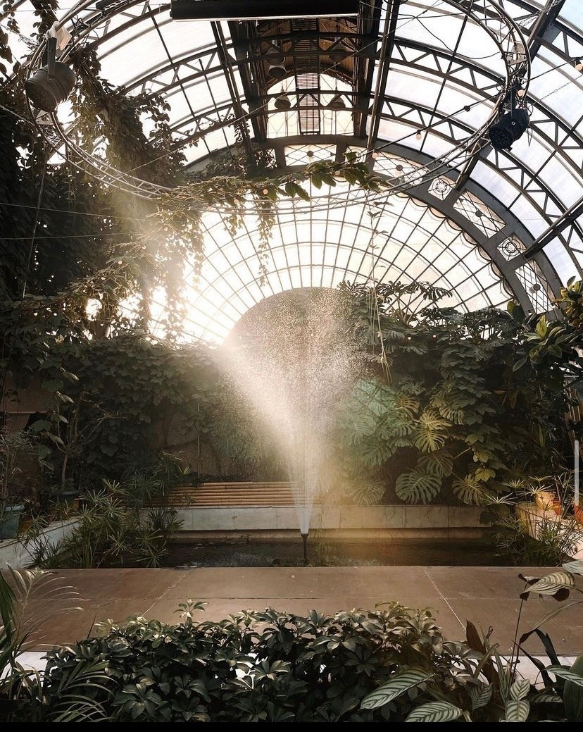 Локации в Питере под крышей