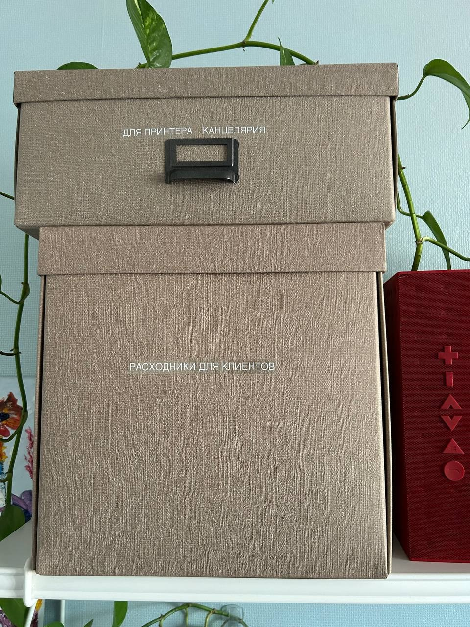 Мудбород: организаторы пространства. Контент-съёмка и бизнес-портреты в Москве. Виктория Кулюкина