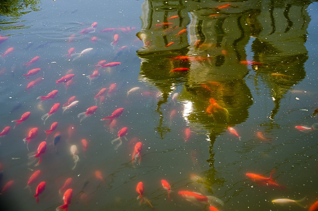 Приходской фотограф и педагог Екатерина Ивлянова