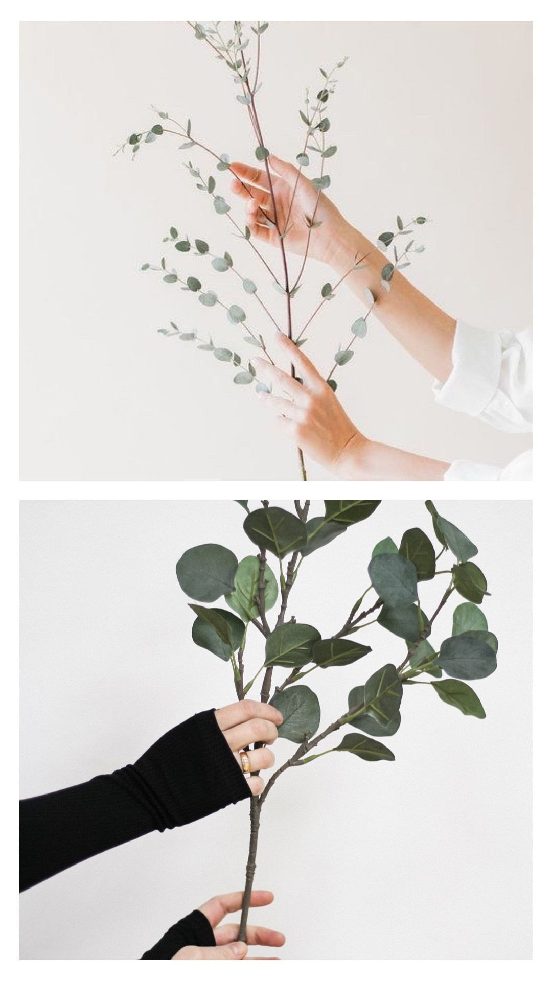 Контент съемка и предметная съемка для продвижения услуг бизнеса. Студия контента «СВОЕ МЕСТО»