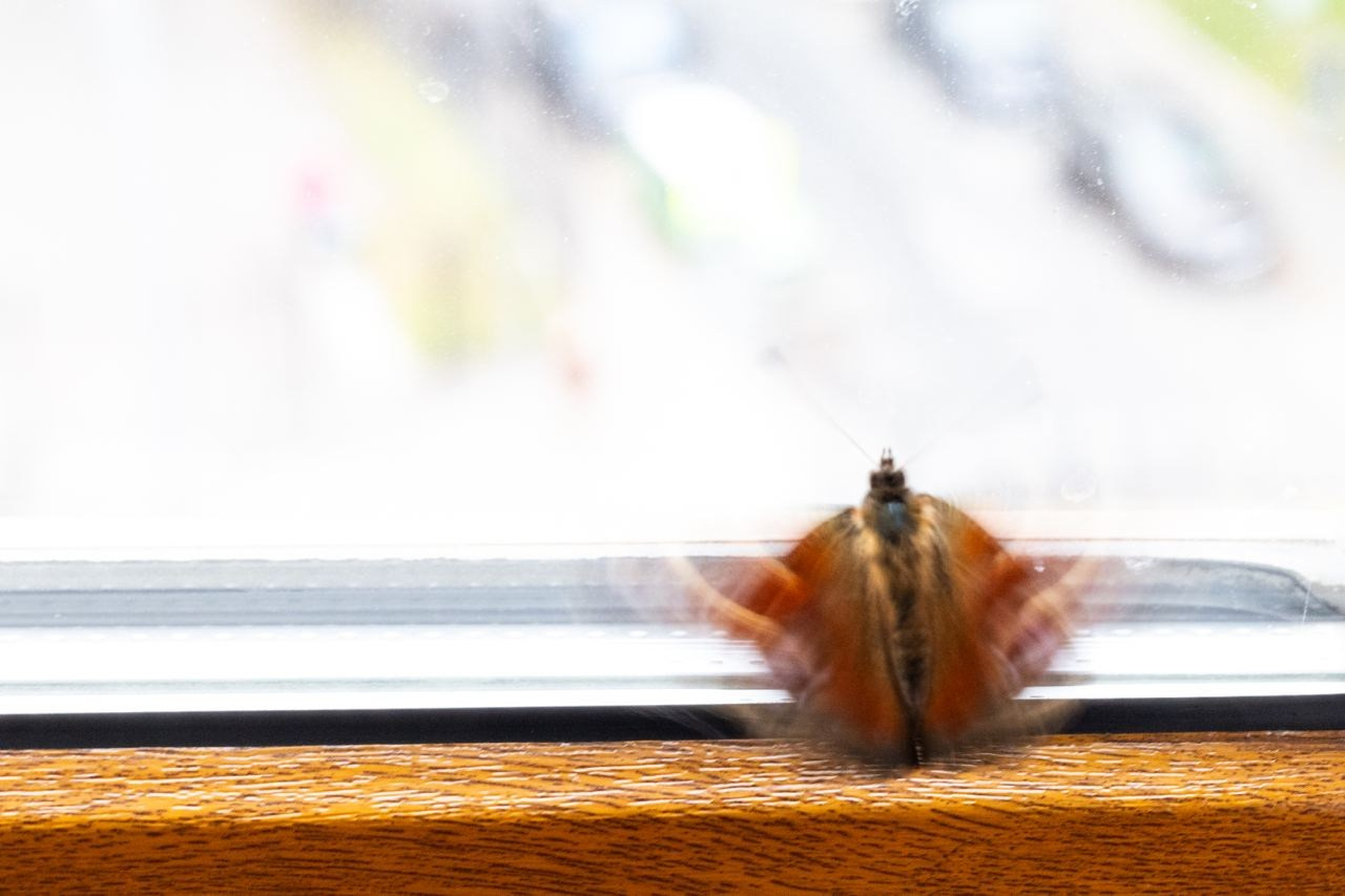 Проективный процесс. Фотограф в Москве Ольга Олейникова
