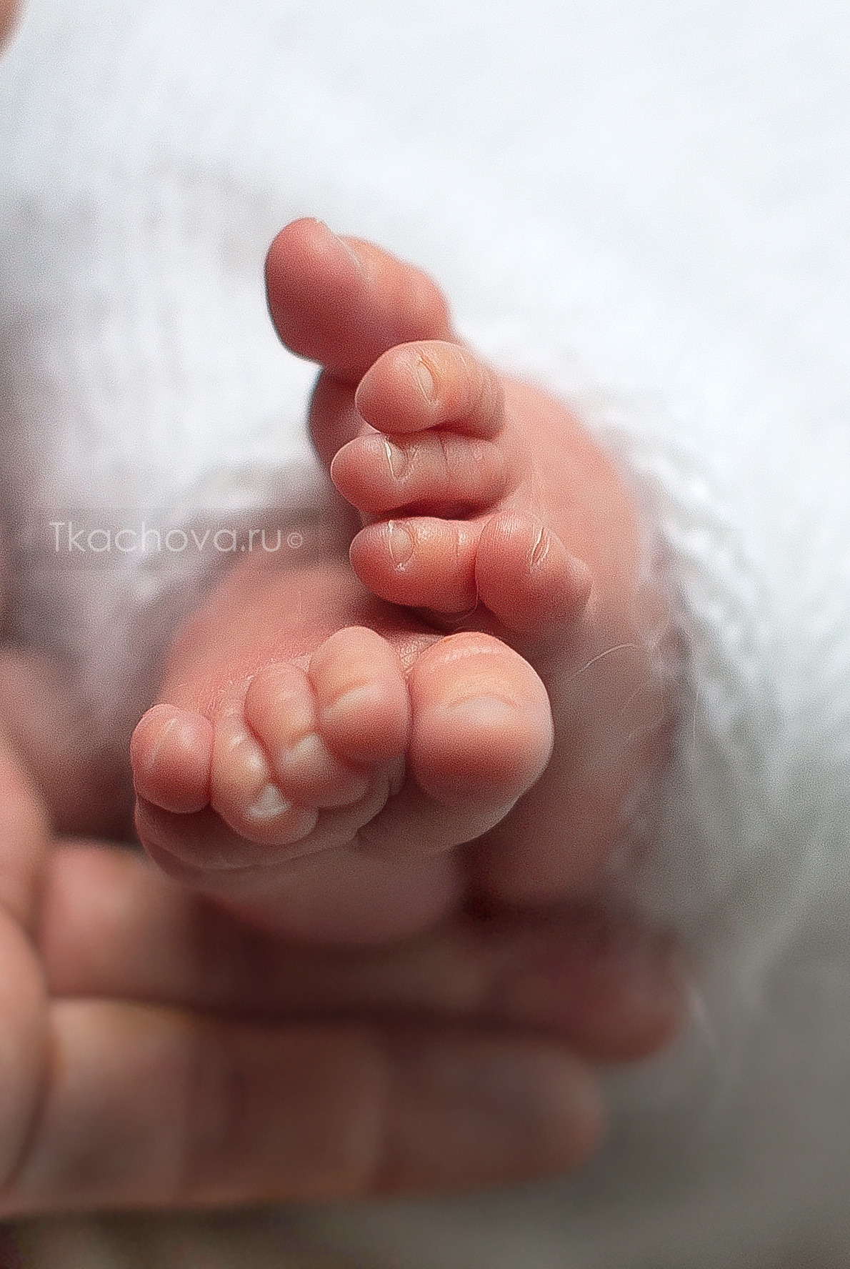 Новорожденные Newborn. Фотограф беременности и детей  Воронеж/Бутурлиновка Ткачева Аня