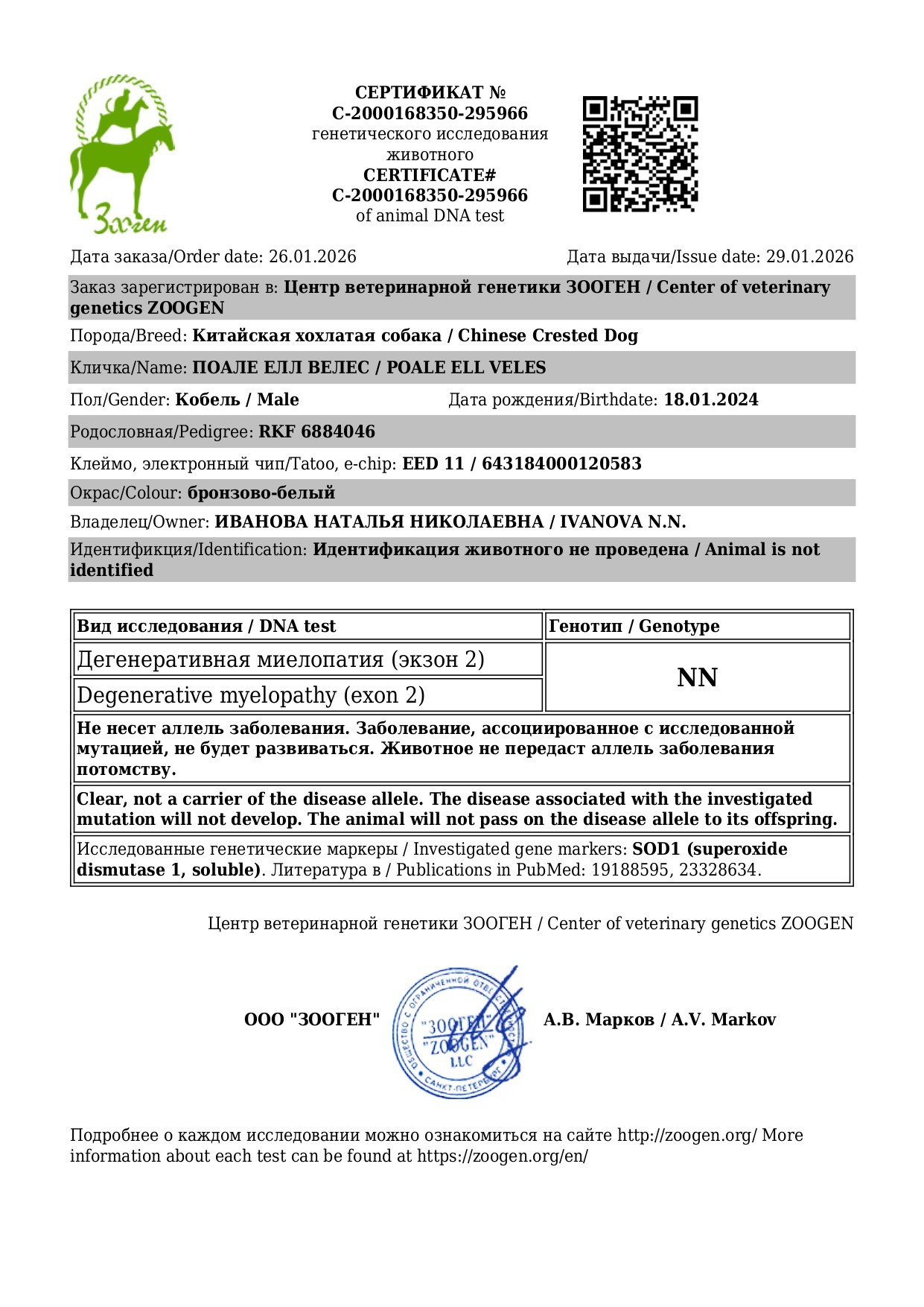 Poale Ell Veles. Питомник китайских хохлатых собак Poale Ell: купить щенка в питомнике