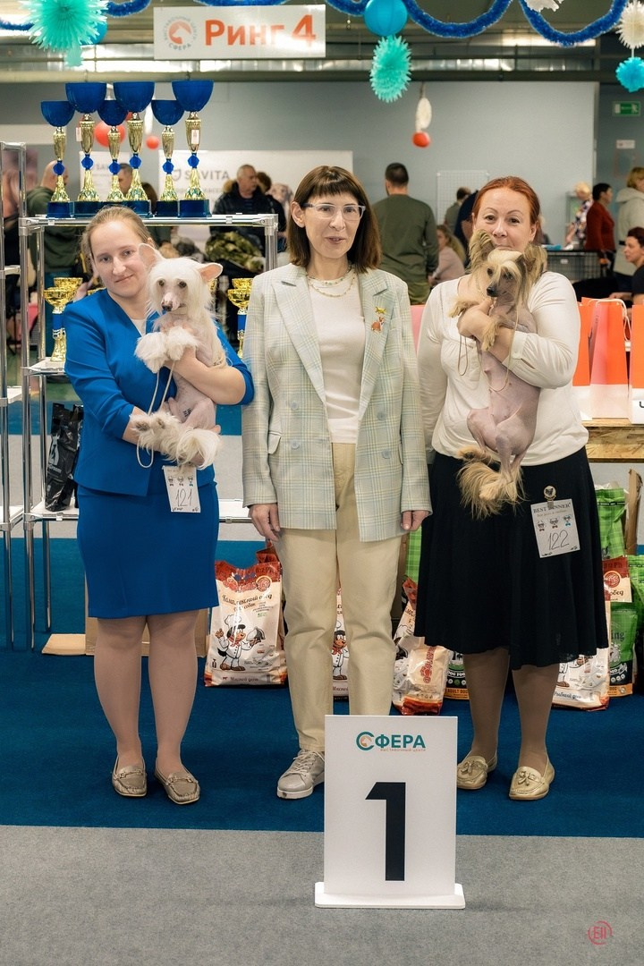 Ashantal Emmanuel Poale Ell. Chinese Crested Dog Kennel Poale Ell