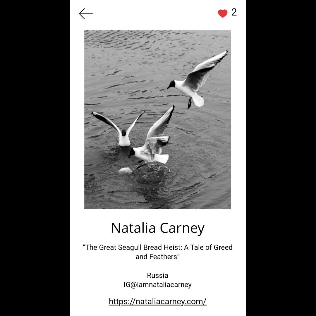 Stories. Natalia Carney — Photographer, Model, Blogger