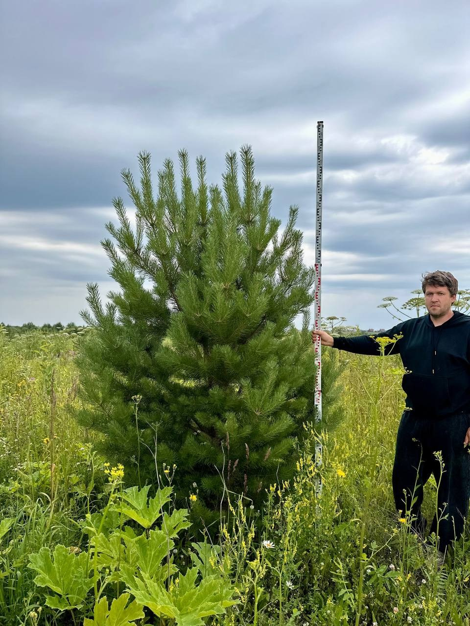 Крупномеры РФ