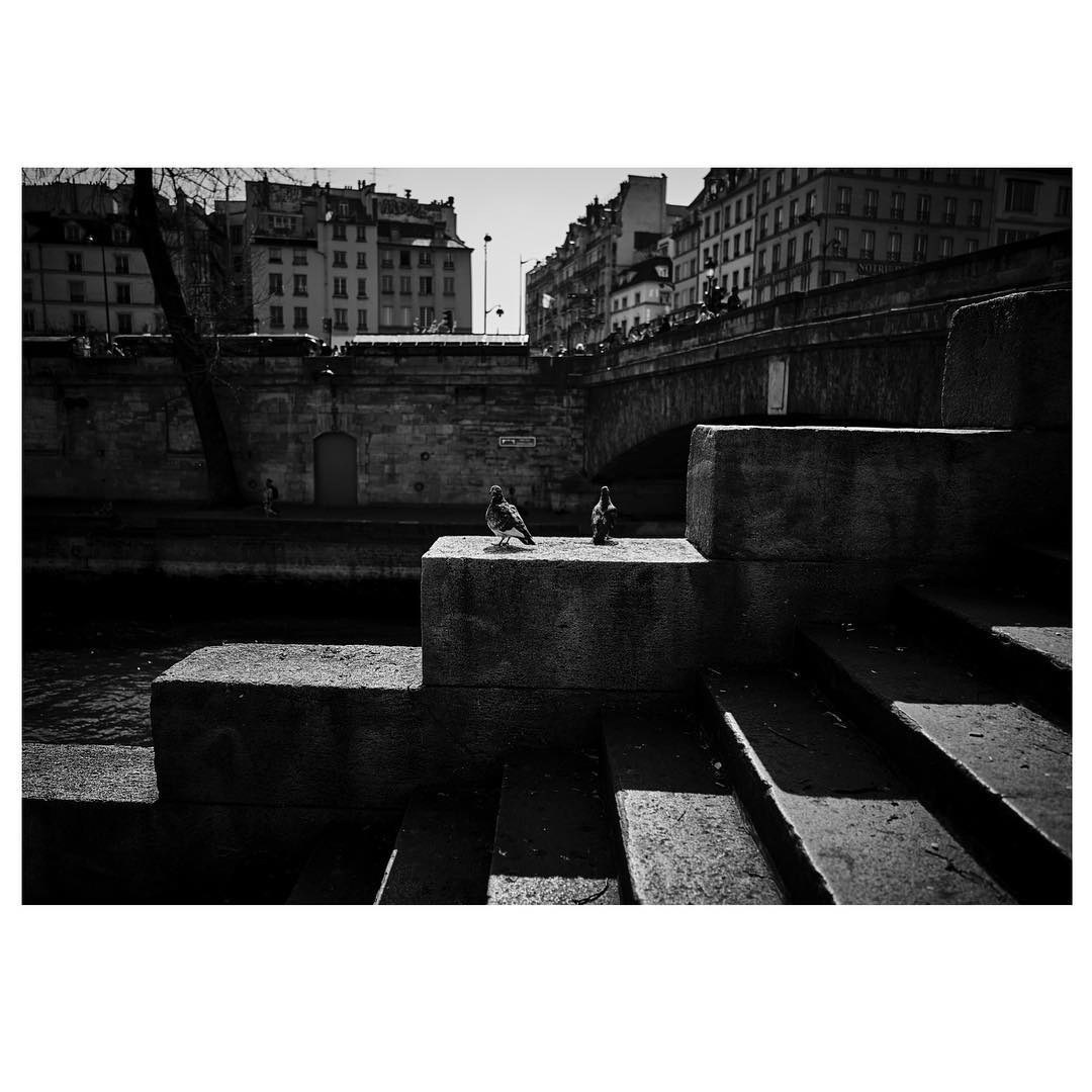 Paris: Download Error