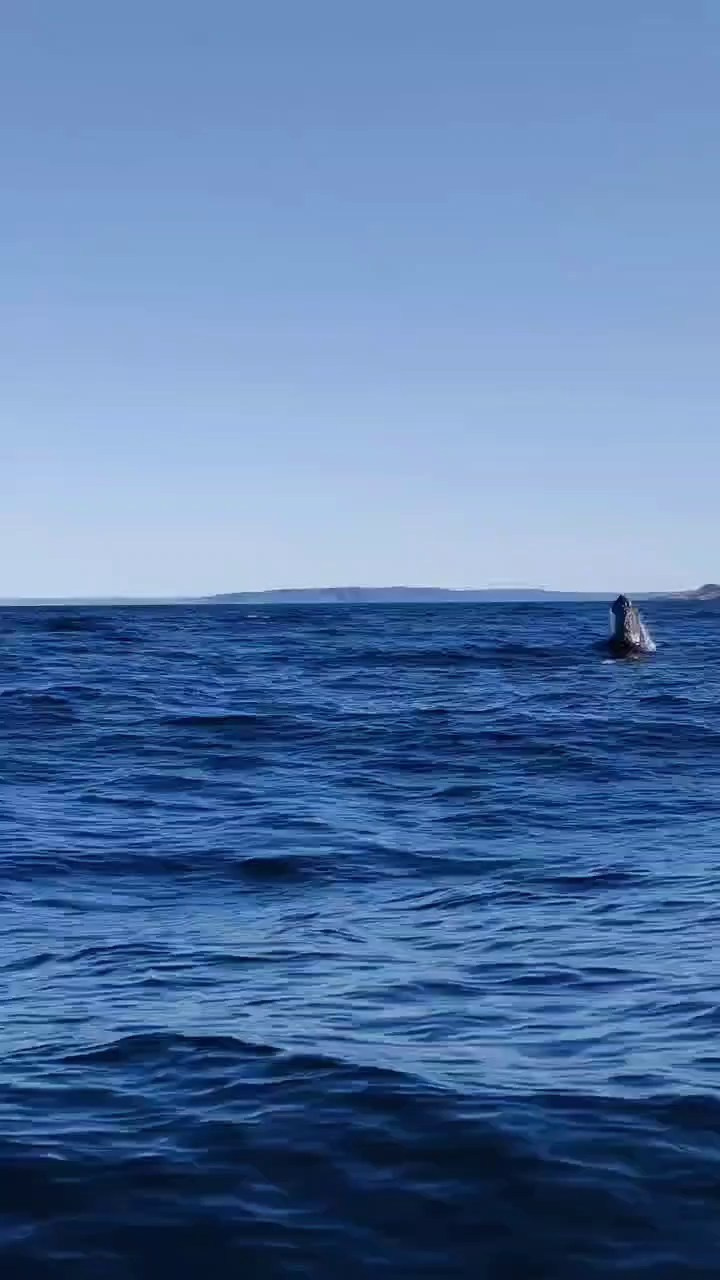 Занятия по рисунку, живописи и композиции. Изостудия «Мы рисуем!» ♥ Южное Бутово, Москва