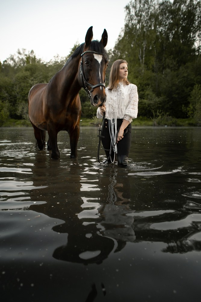 Лошади. Свадебный и портретный фотограф Москва