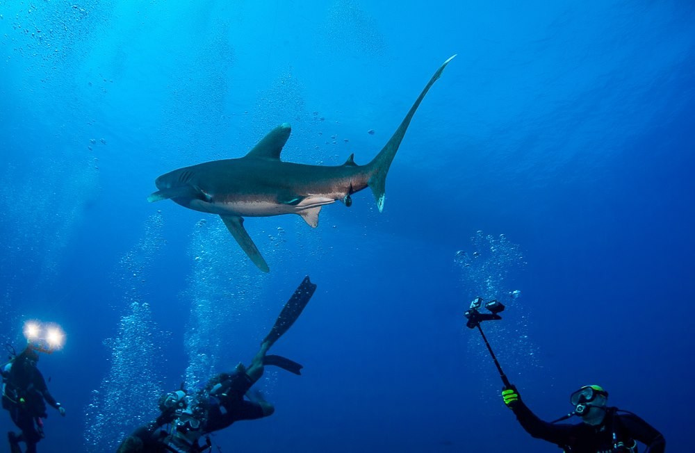 Дайвинг-туры. Дайвинг-клуб «Капитан Морган», Беларусь