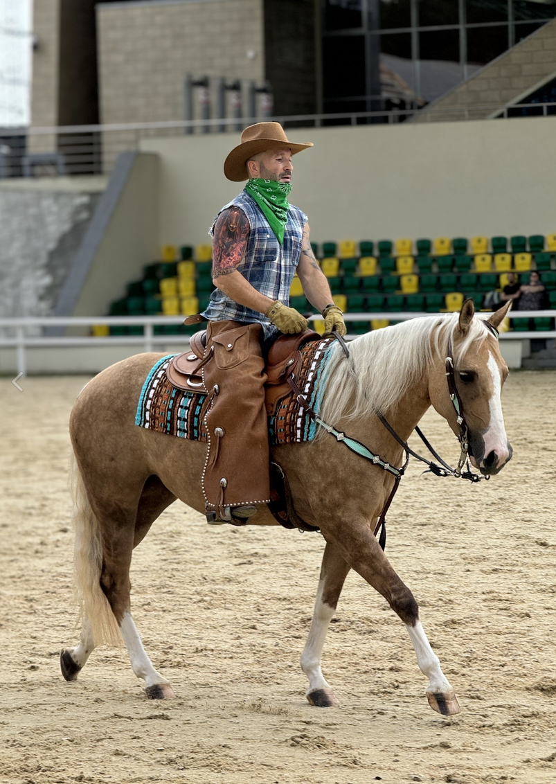 Лошади. Свадебный и портретный фотограф Москва