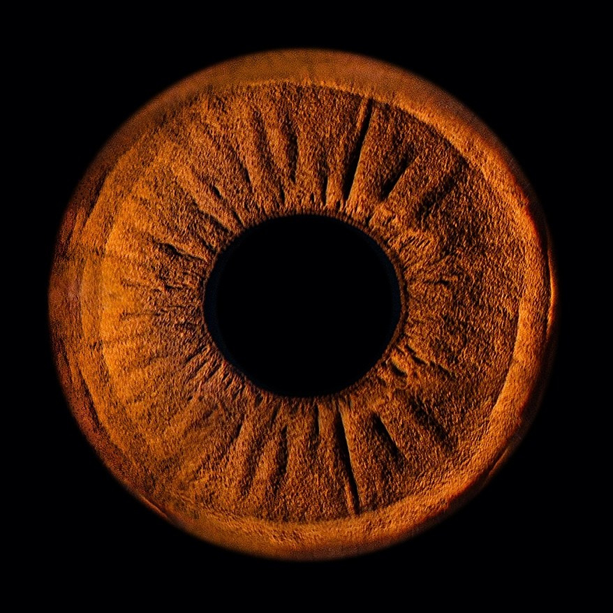 Фото Радужки / Photo of the iris. Фотостудия Eyes Art Studio