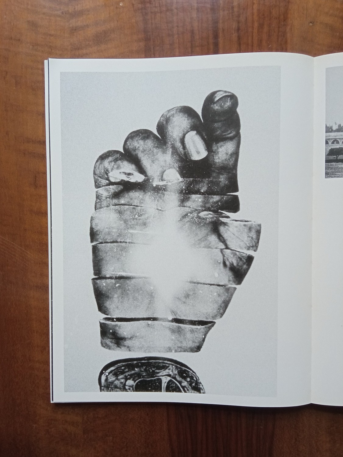 Проект «Worry for the fruit the birds won’t eat» Софи Габриэль. Private image