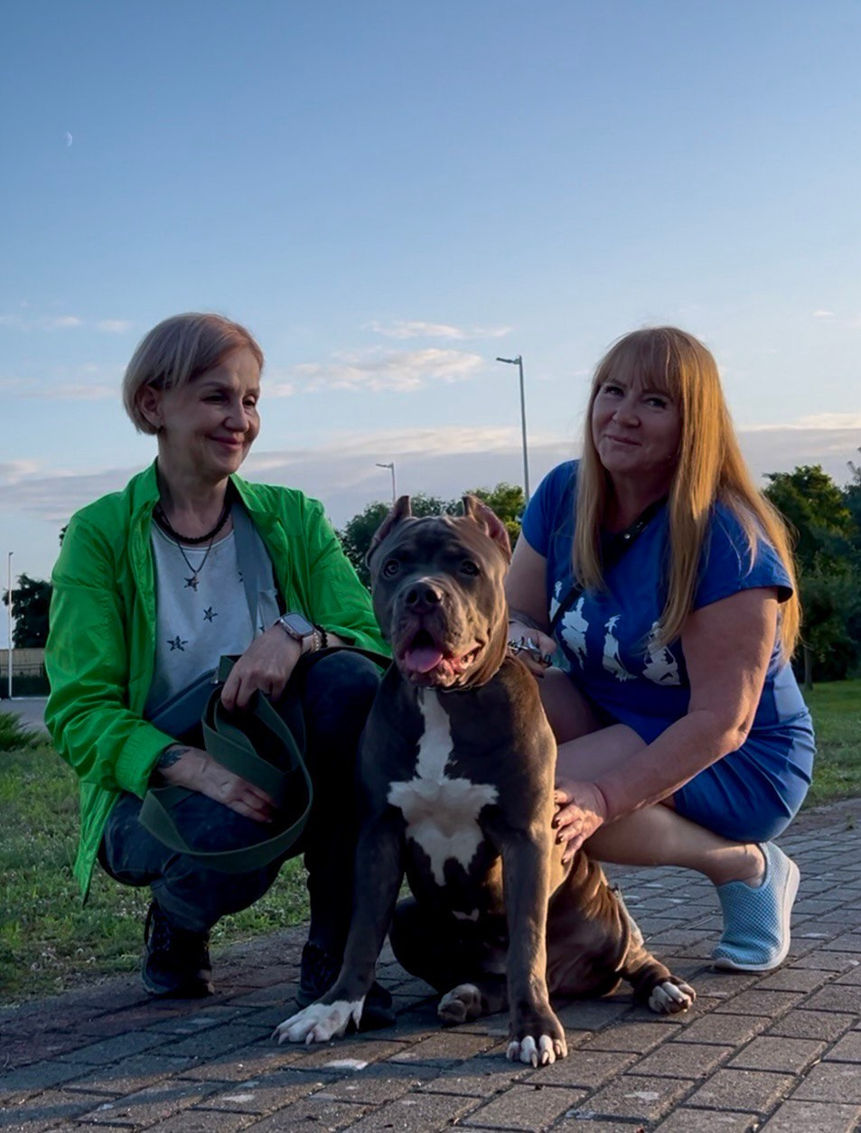 GBU Xanamoon. Американские булли XL в г. Калининград. Питомник Great Bully UNIVERSE