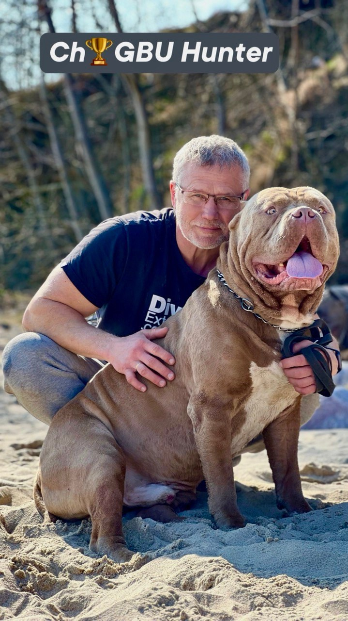 Хантер. Американские булли XL в г. Калининград. Питомник Great Bully UNIVERSE
