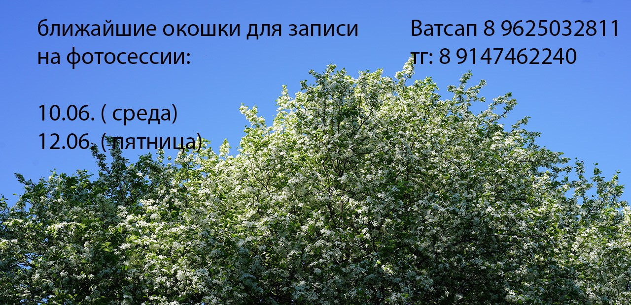 Фотограф и художница в Хабаровске Татьяна Трубникова